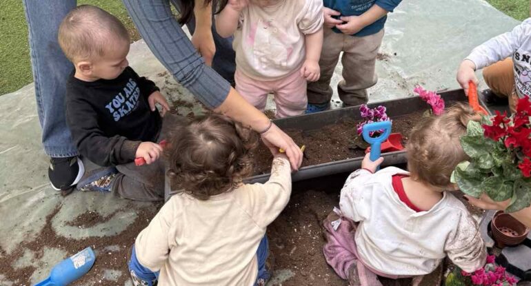 Ηλιαχτίδα Στοργή - Κηπουρική